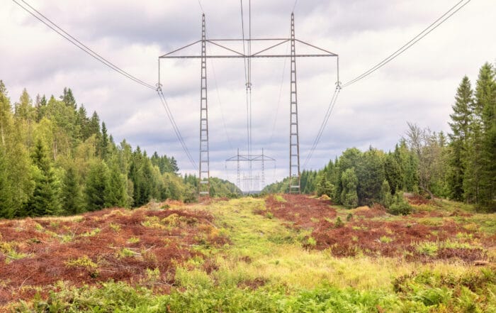 Svenska elnätet och effektavgift - hur effektkostnaden påverkar din elräkning