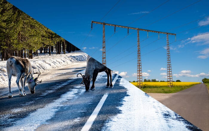 Stora skillnader för elpriset mellan norra och södra Sverige under första halvåret 2025